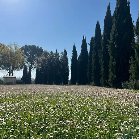 Bellora Villa