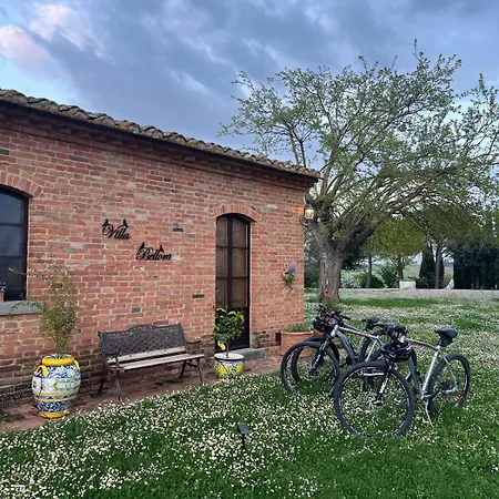 Bellora Кортона