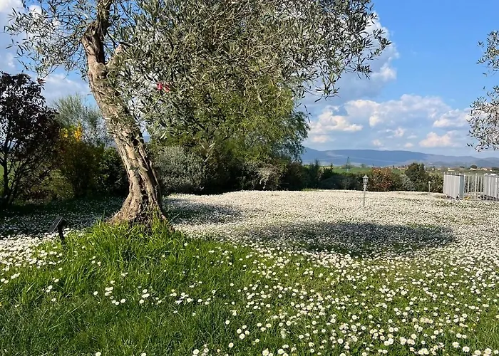 Bellora וילה קורטונה